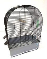 Crystal Budgie & Canary Black