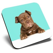 Square Single Coaster - Cute Old English Bulldog Puppy Dog  #21422