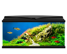 **BRAND NEW** LARGE Fish Tank