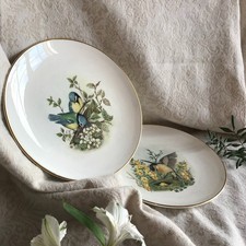 Vintage 1973 Wedgwood Bone