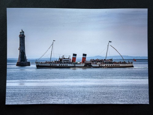 12x8 print paddle steamer - print,