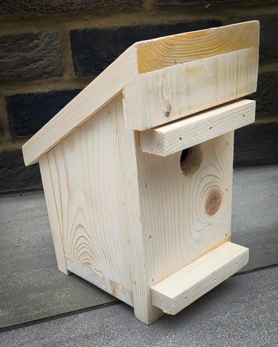 Hazel dormouse nest box - box, |