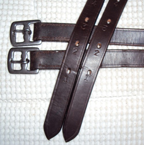 Collegiate stirrup leathers - stirrup,