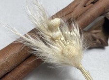 Handmade Cupcake Toppers |