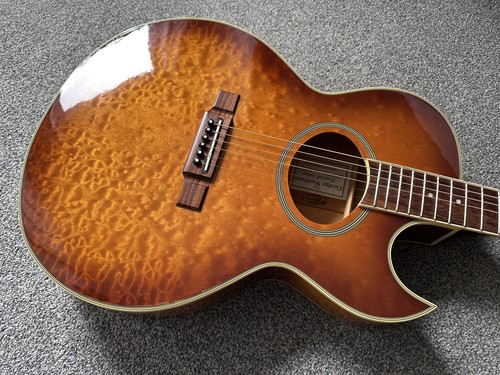 Vintage 1997 washburn - 1997,