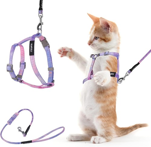 Cat harness and - and, leash