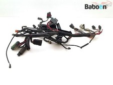 Wiring Harness (Main)