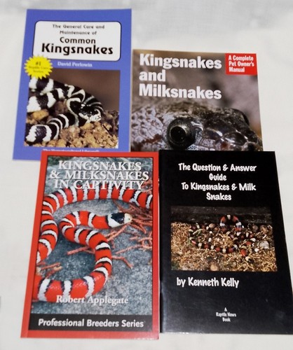 Kingsnakes milk snakes - kingsnakes,