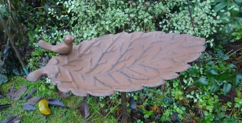 Core ten rusty - rusty, design
