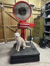 Vintage Antique Industrial Large Platform W & T Avery Weighing Scales Working