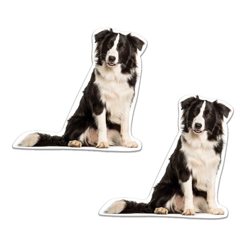 Border collie dog printed - 2x,
