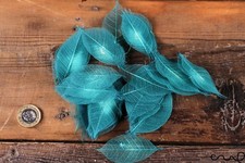 100 x Natural Skeleton Leaves TURQUOISE Rubber  Approx 2"/6-8 cm Craft Wedding