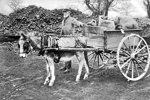 Bdr man donkey - man,
