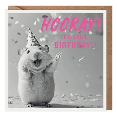 Funny birthday card - card, hamster