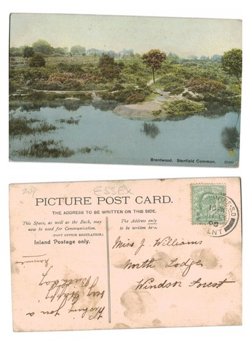 Vintage postcard stenfield - vintage,