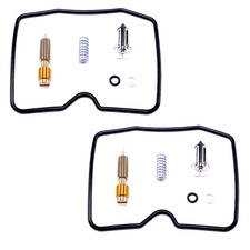 2x Carburetor Repair Kit for