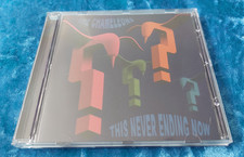 The Chameleons – This Never