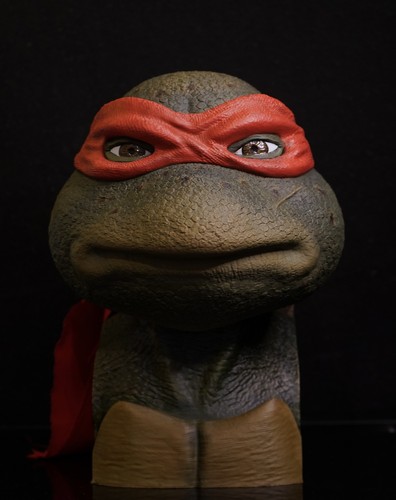 Teenage mutant ninja turtles - mutant,
