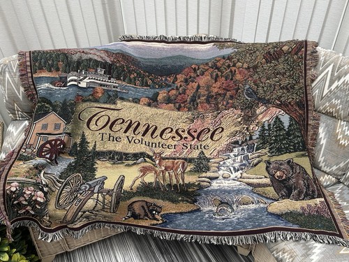 Tennessee the volunteer state - volunteer,