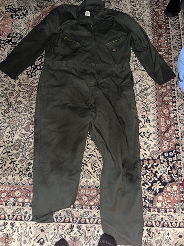 Dickies deluxe long - deluxe, sleeve
