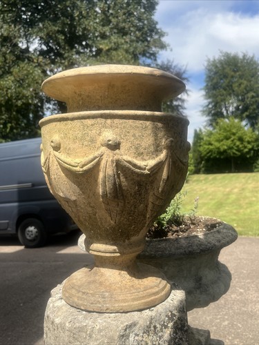 Buff terracotta neoclassical - buff,