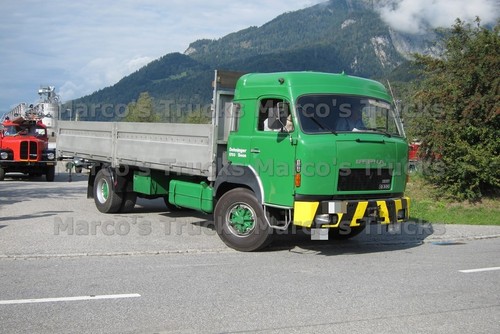 Truck photo berna 131v - photo,