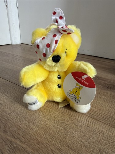 Pudsey bear 25th anniversary - pudsey,
