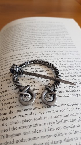 Penannular brooch shawl - penannular, pin