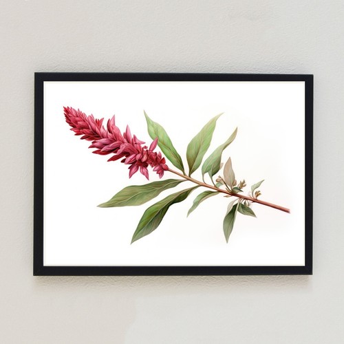Vintage flower botanical - vintage,