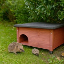 Hedgehog house with double - hedgehog,