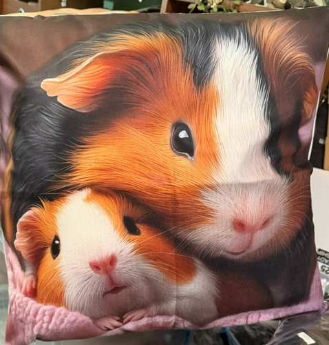 New guinea pig throw - pig,