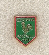 Pin badge Abzeichen - Northern