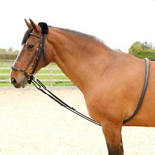 Shires Soft Lunging Aid -