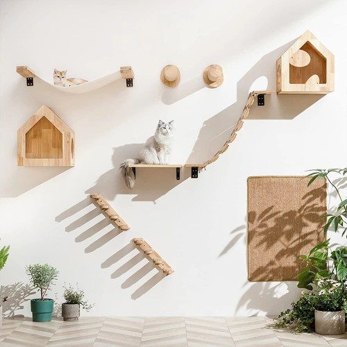 Cat wall climbing - cat,