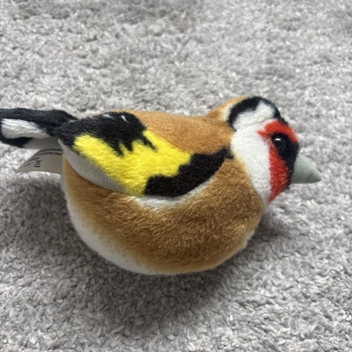 Rspb wild republic - wild, goldfinch