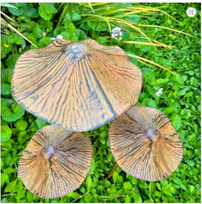 3pcs Retro Metal Rusty