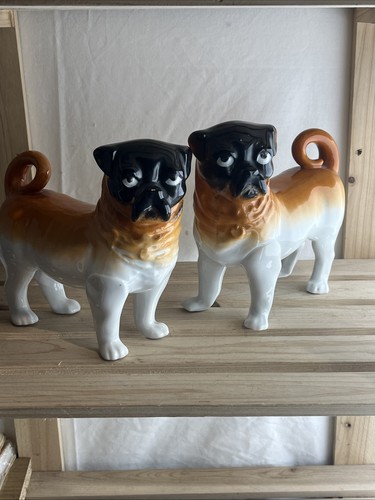 Pair antique pug - pair,