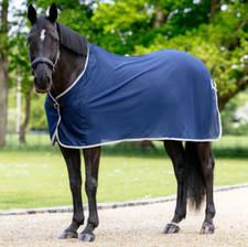 LeMieux Scrim Cooler Wicking