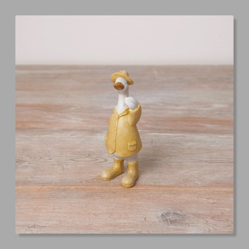 Standing chic ducks wellies - standing,