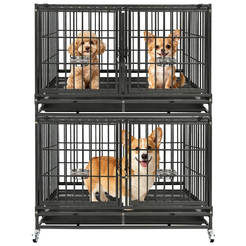 Homey pet two ties - homey,