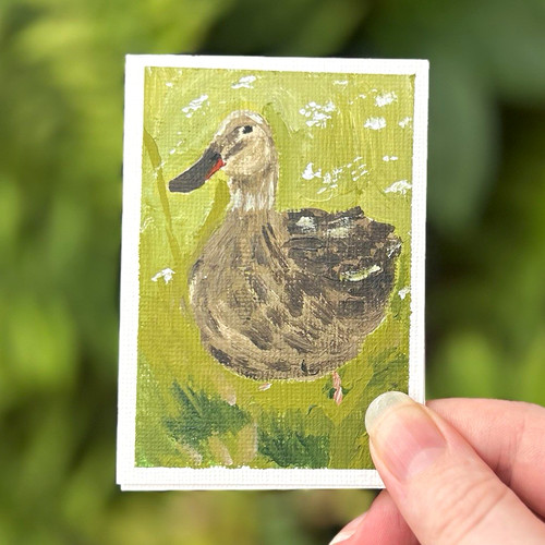 Aceo artist trading card duck - aceo,