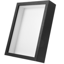 Insect Specimens Photo Frame