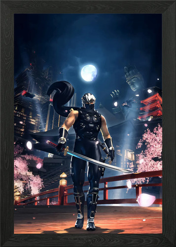 Ninja gaiden framed - ninja,