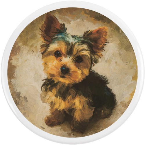 Yorkshire terrier puppy - 'yorkshire,