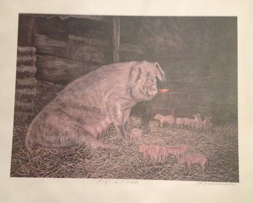 Alex williams signed - alex, print