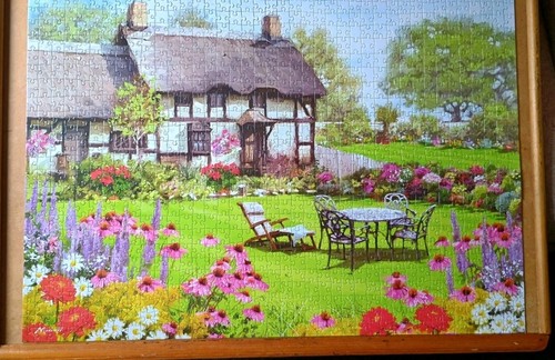 1000 piece jigsaw puzzle life - 1000,