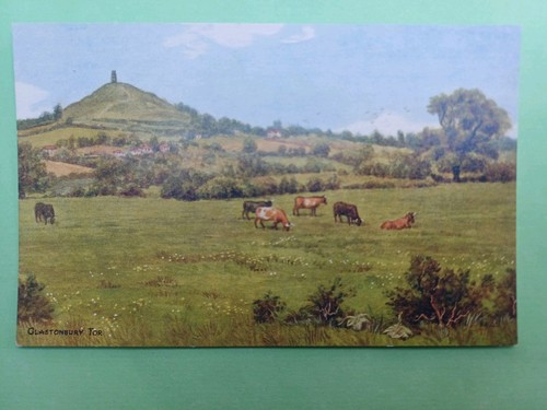 Post card salmon quinton - post,