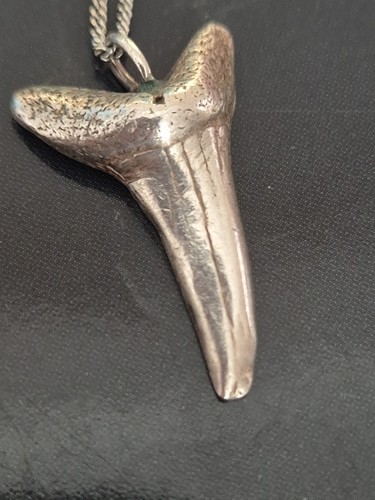 Sterling silver shark tooth - sterling,
