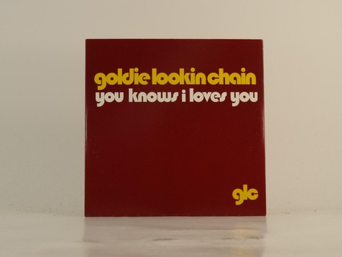 Goldie lookin chain you knows - lookin,