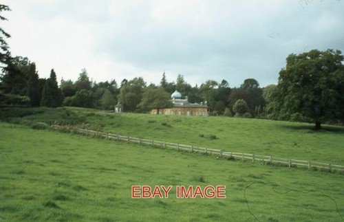 Photo spring sezincote - at,